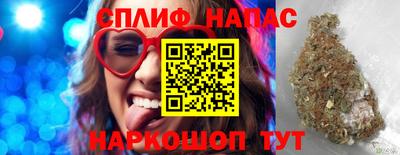 прущие грибы Ирбит